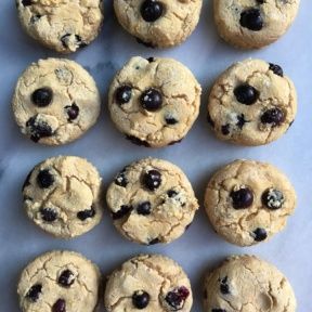 Gluten-free Paleo Blueberry Muffins